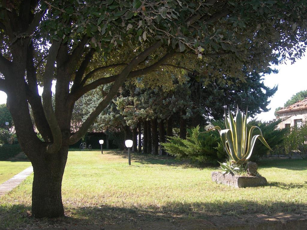 Tenuta Di Pontesodo Montalto di Castro Exterior photo